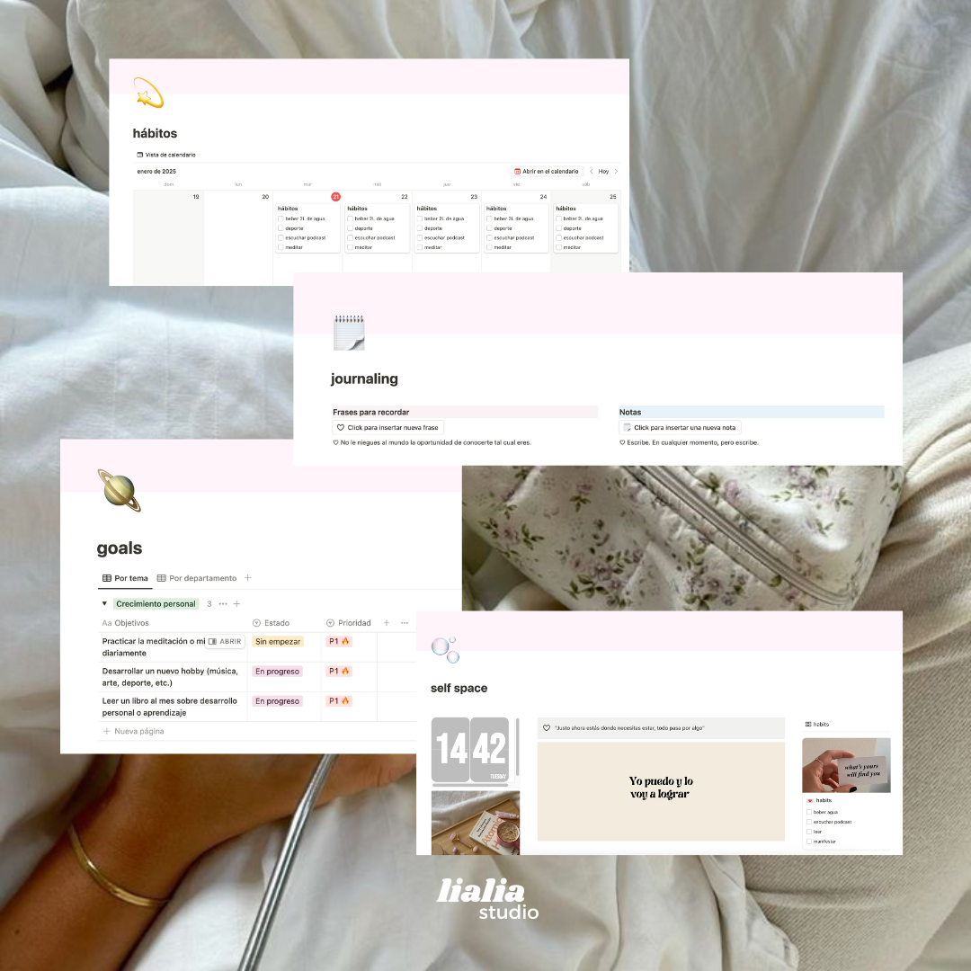 "The Wellness" notion planner