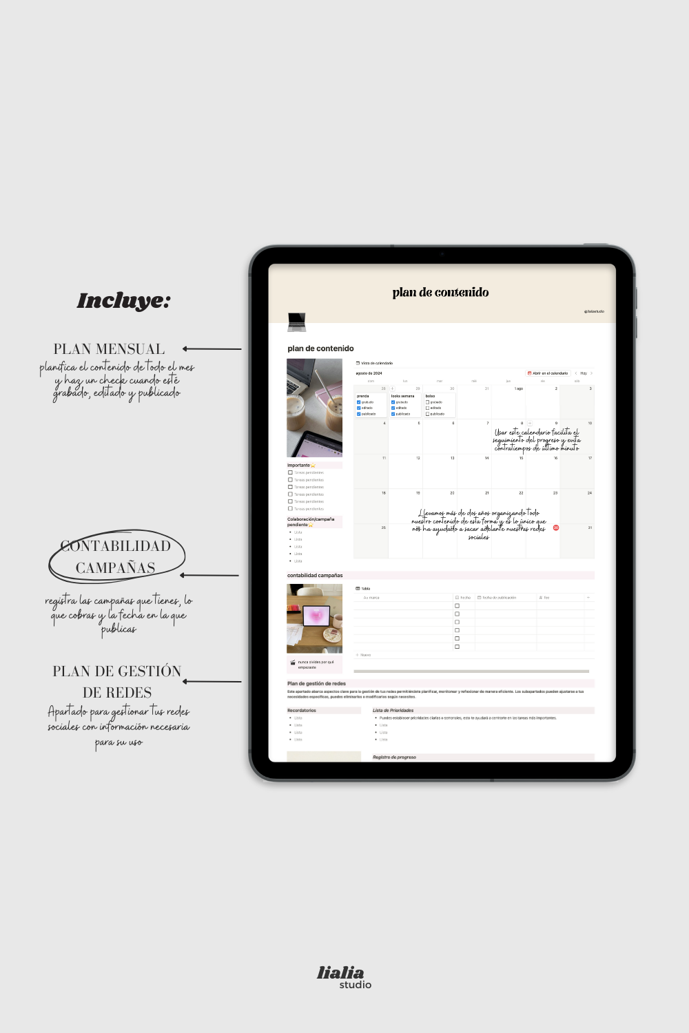 "Creadora de contenido"  notion planner