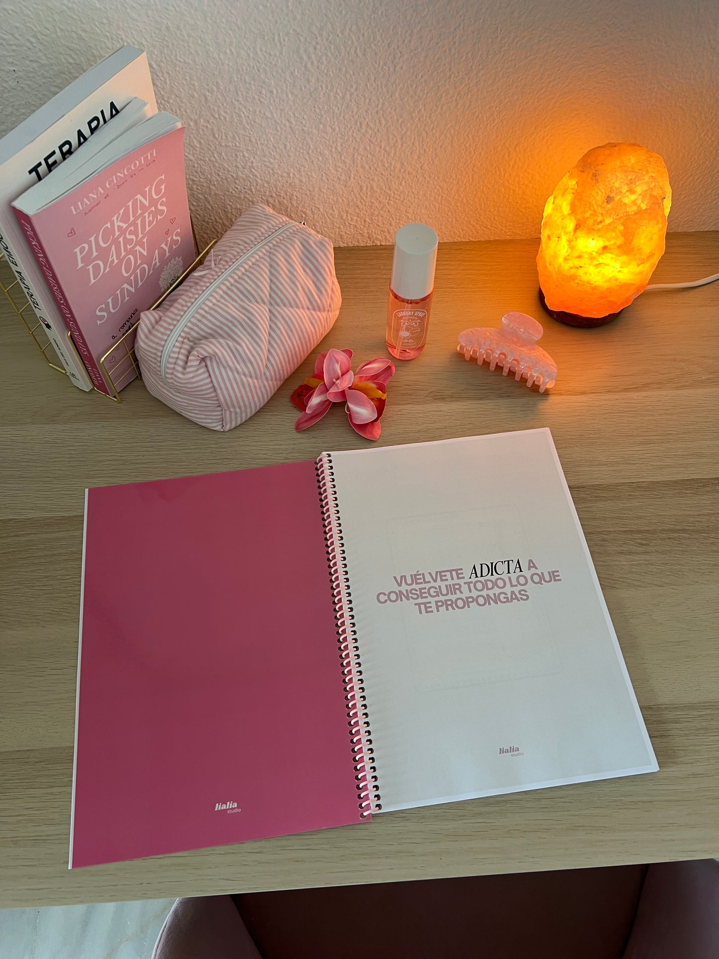 Summer journal 2026🏝️