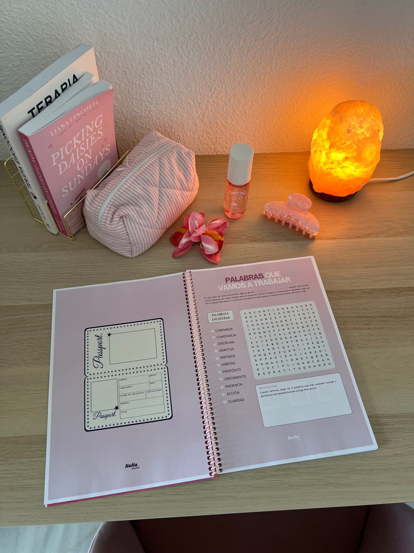 Summer journal 2026🏝️