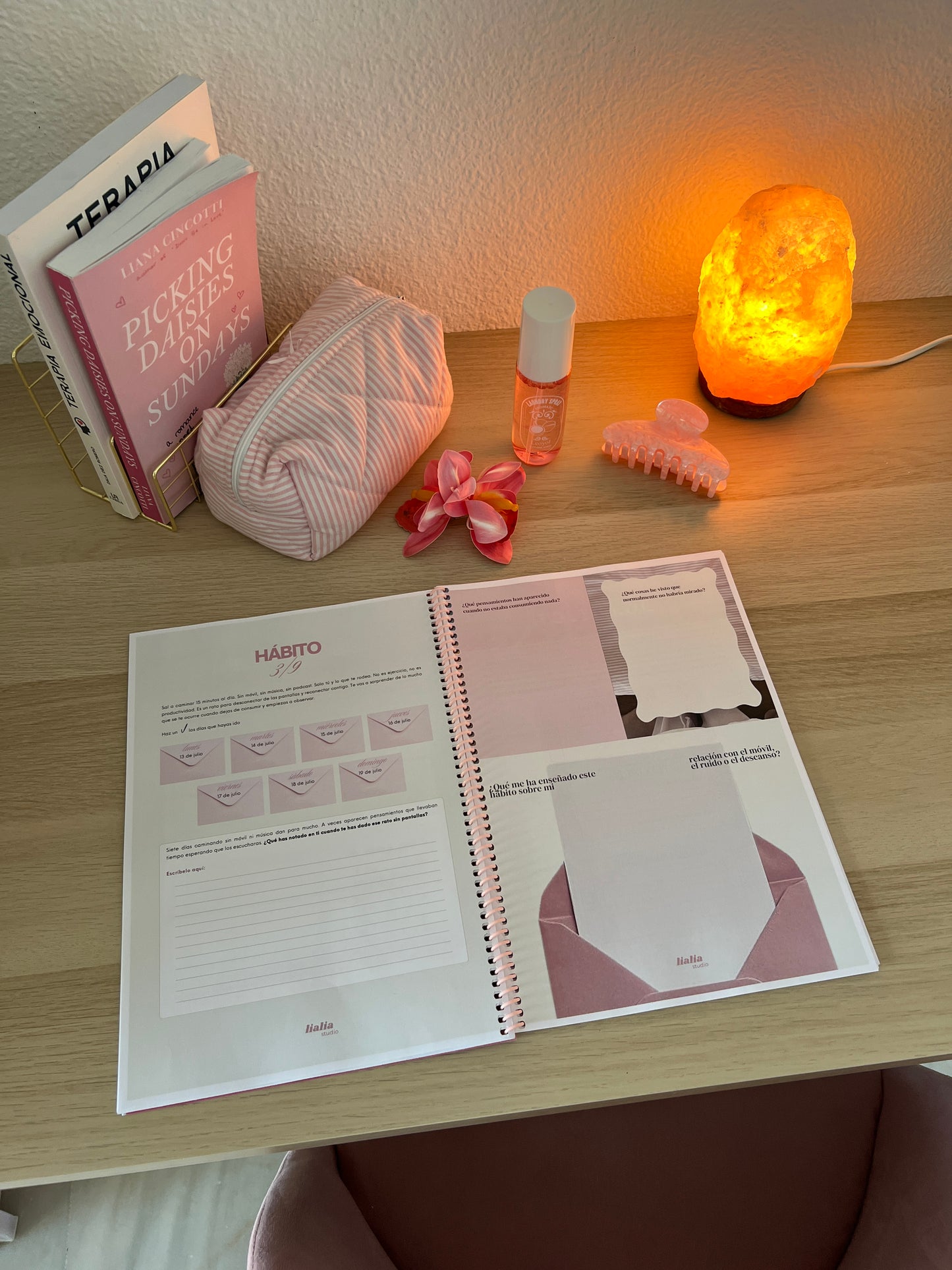 Summer journal 2026🏝️