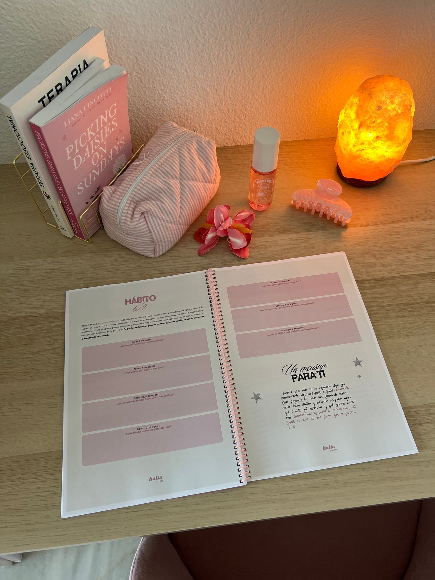 Summer journal 2026🏝️