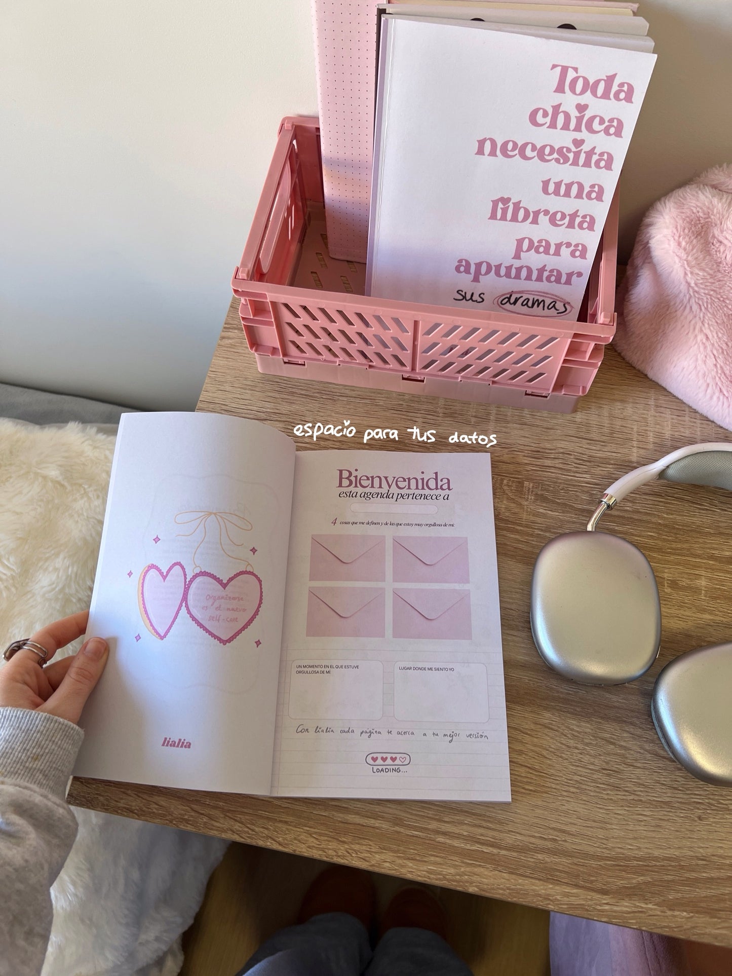 Agenda anual 2026 - Día vista