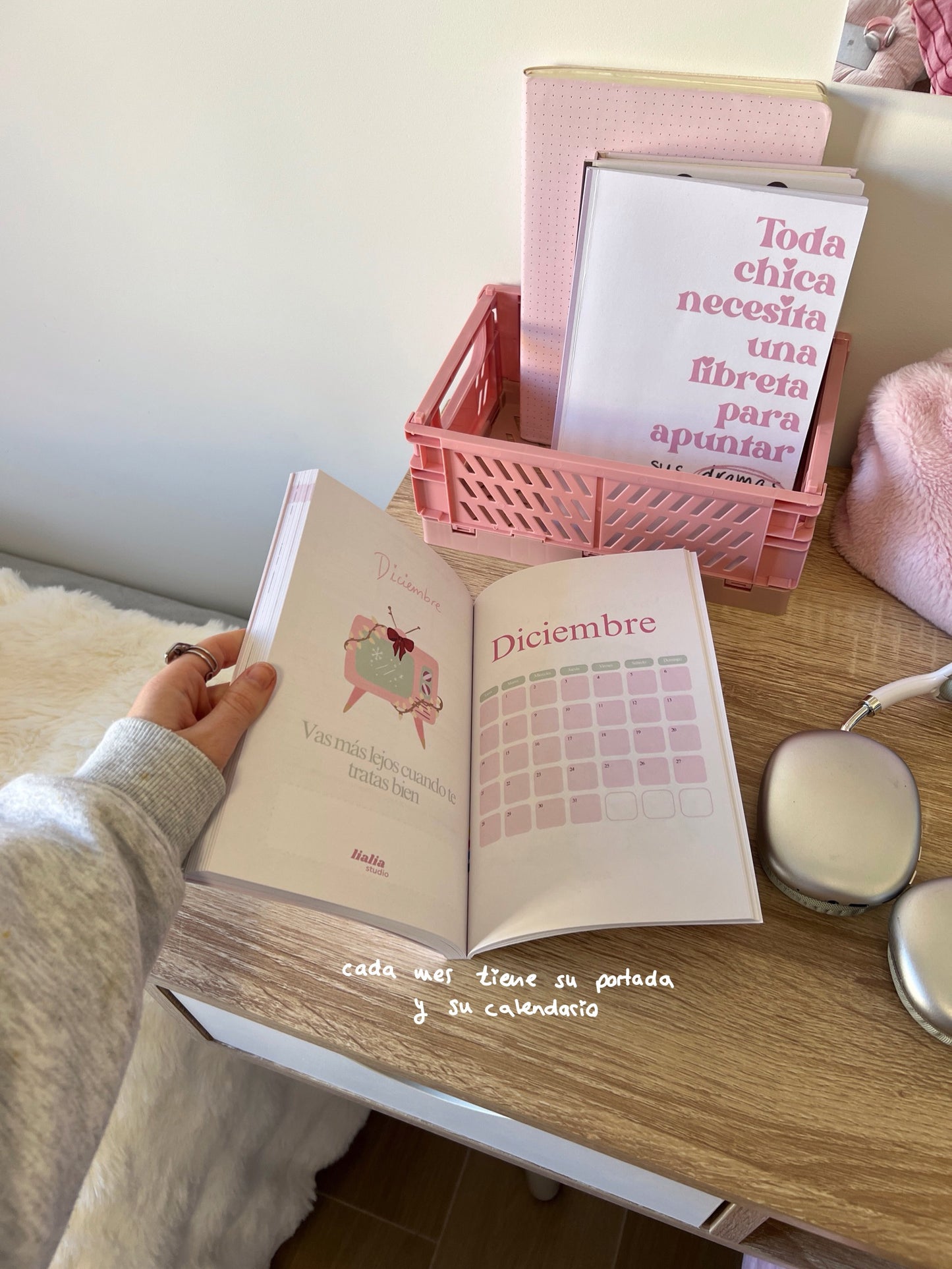 Agenda anual 2026 - Día vista