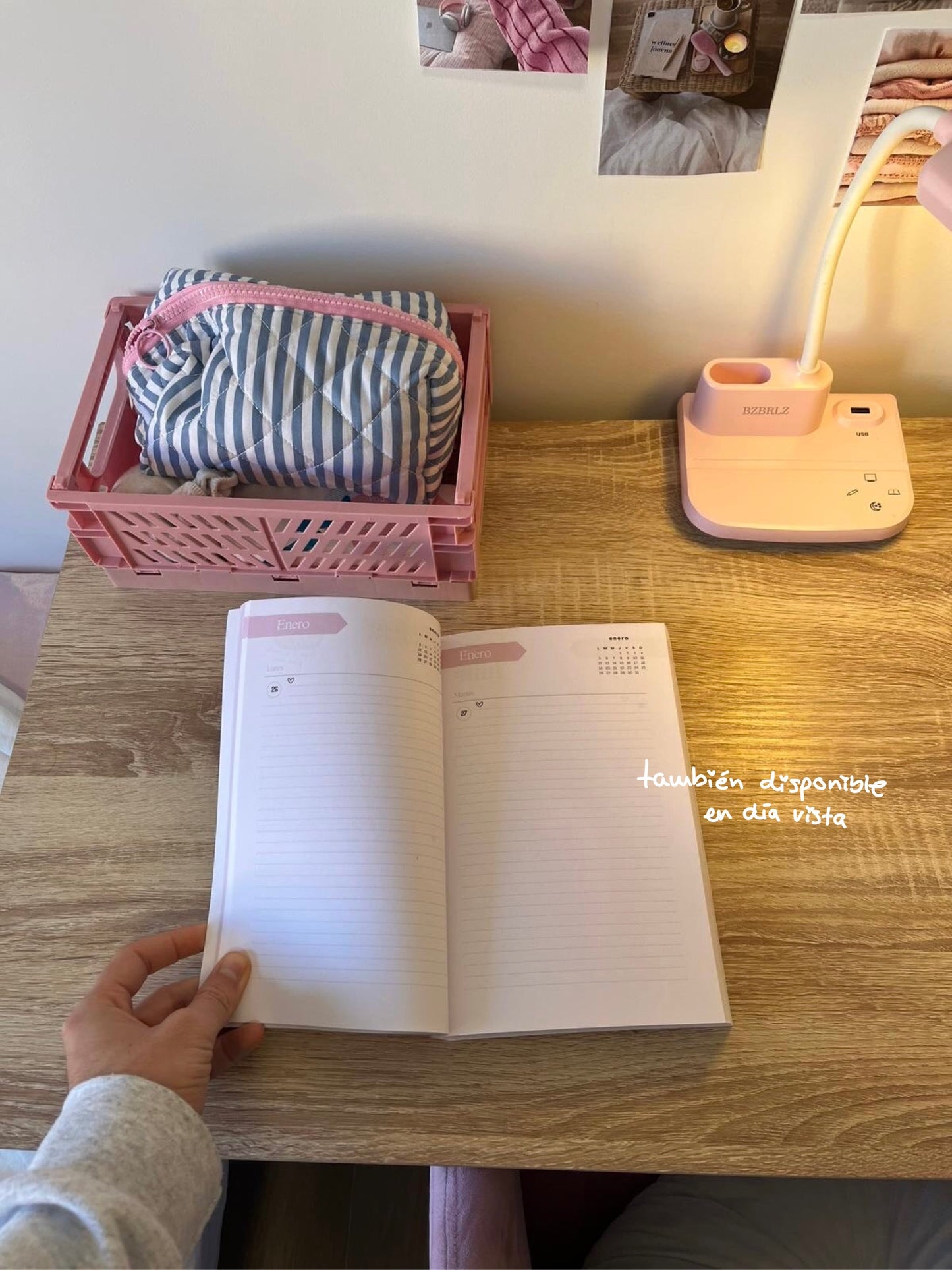 Agenda anual 2026 - Día vista